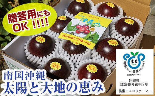 【2026年発送】南国の果物 パッションフルーツ 1kg 贈答用沖縄県南風原町12900果物・フルーツ