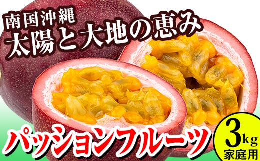 【2026年発送】パッションフルーツ3kg 家庭用沖縄県南風原町19400果物・フルーツ