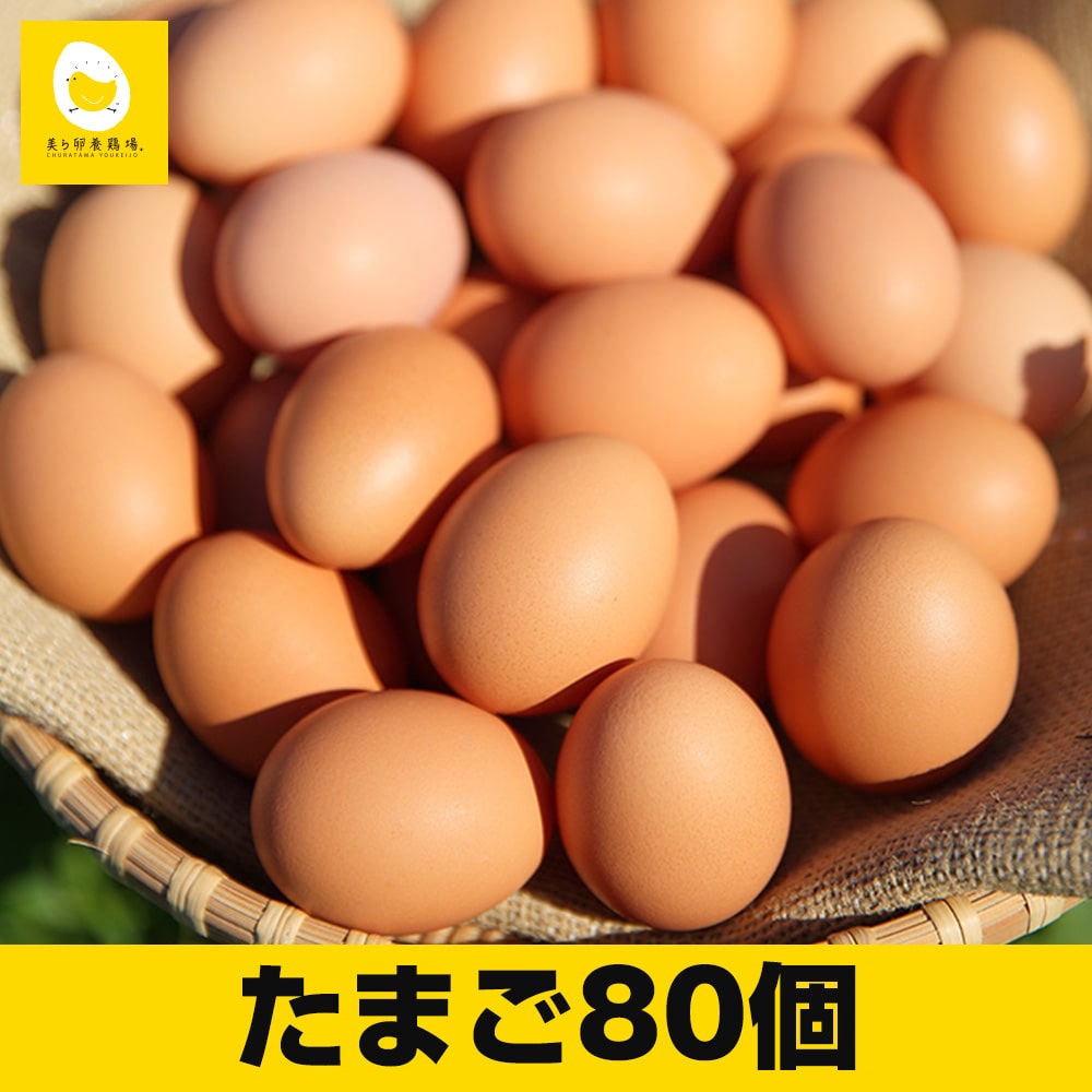 ̉g͂߂قǂ̐VN@痑{{̗y80zꌧ앗15000Ei