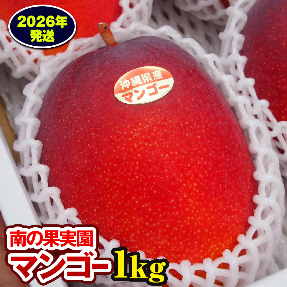 【2026年発送】南の果実園 マンゴー1kg沖縄県南風原町15700果物・フルーツマンゴー・パイナップル