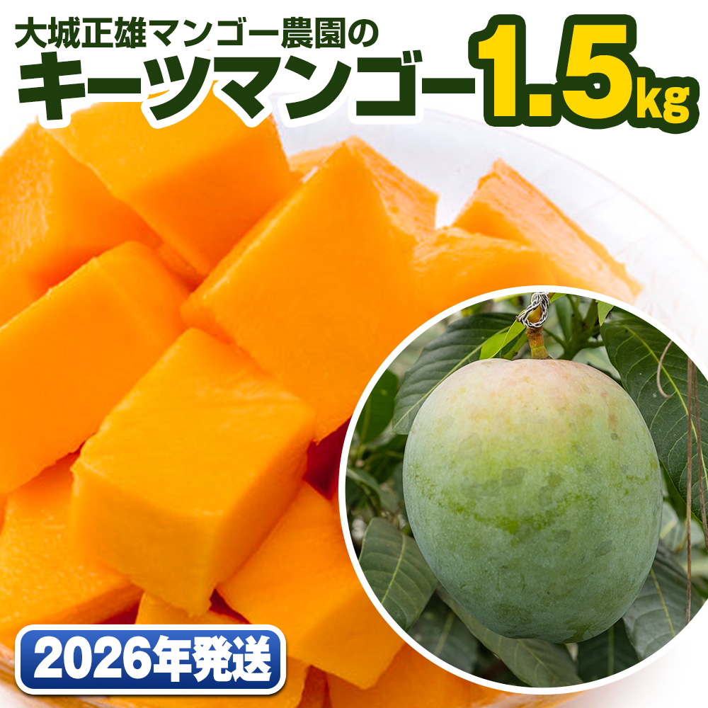 【2026年発送】大城正雄マンゴー農園のキーツマンゴー1.5kg沖縄県南風原町17200果物・フルーツマンゴー・パイナップル