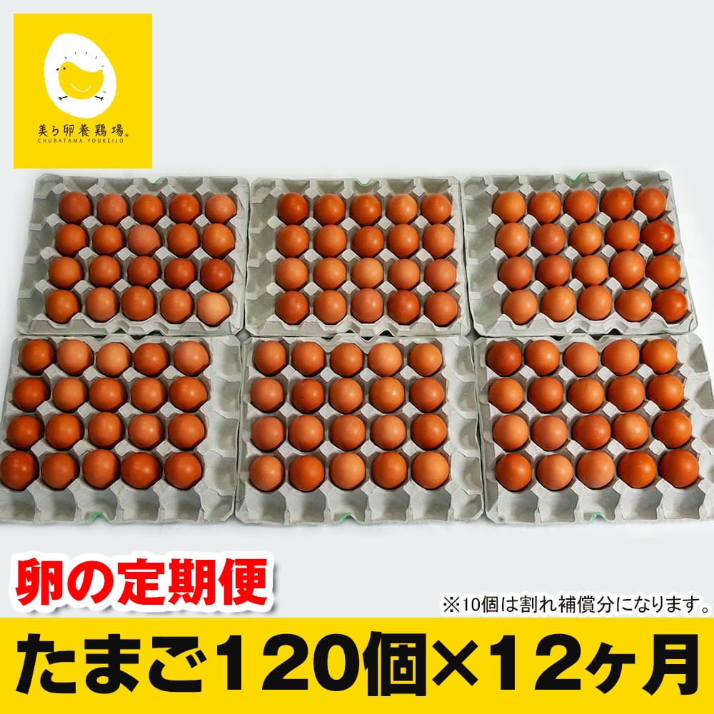 【定期便】12ヵ月連続お届け 美ら卵養鶏場の卵 各月120個沖縄県南風原町231600卵・乳製品