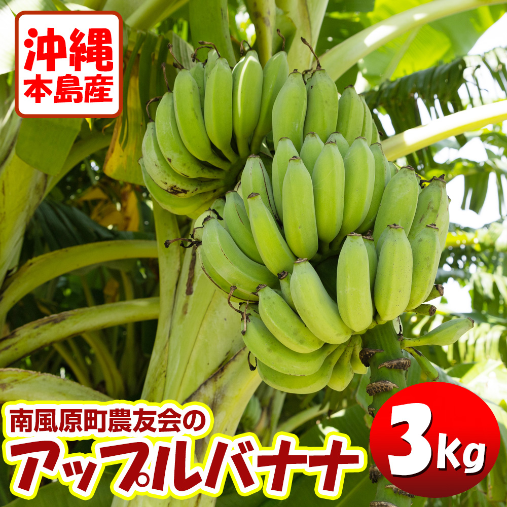 【希少】沖縄本島産 南風原町農友会の「アップルバナナ」 3kg沖縄県南風原町12900果物・フルーツ
