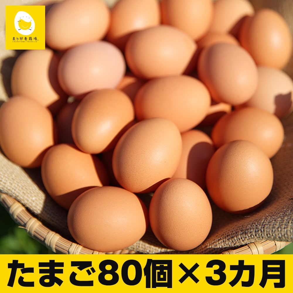【定期便】3ヵ月連続お届け 卵の黄身が掴めるほどの新鮮さ 美ら卵養鶏場の卵 各月80個沖縄県南風原町45000卵・乳製品