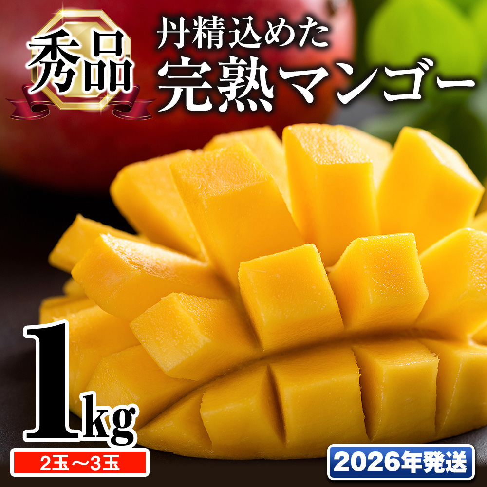 【2026年発送】「秀品」丹精込めた完熟マンゴー1kg 2玉〜3玉沖縄県南風原町17500果物・フルーツマンゴー・パイナップル