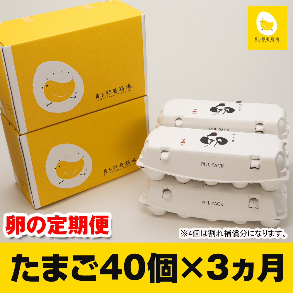 yցz3A͂@痑{{̗@e40ꌧ앗25500Eii{AG{j