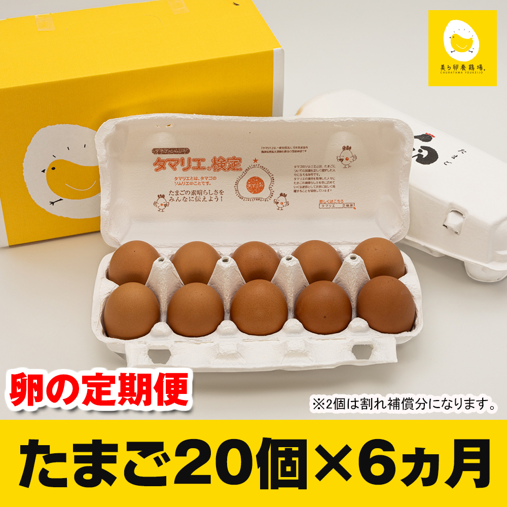 【定期便】6ヵ月連続お届け 美ら卵養鶏場の卵 各月20個沖縄県南風原町34200卵・乳製品卵(鶏、烏骨鶏等)