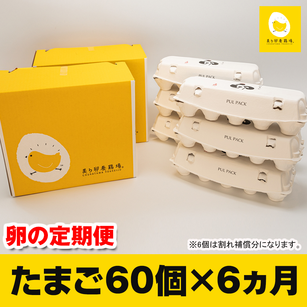 【定期便】6ヵ月連続お届け 美ら卵養鶏場の卵 各月60個沖縄県南風原町64200卵・乳製品卵(鶏、烏骨鶏等)