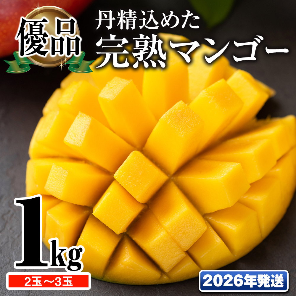 y2026NzuDivO߂n}S[1kg@2ʁ`3ʉꌧ앗12900ʕEt[c}S[EpCibv
