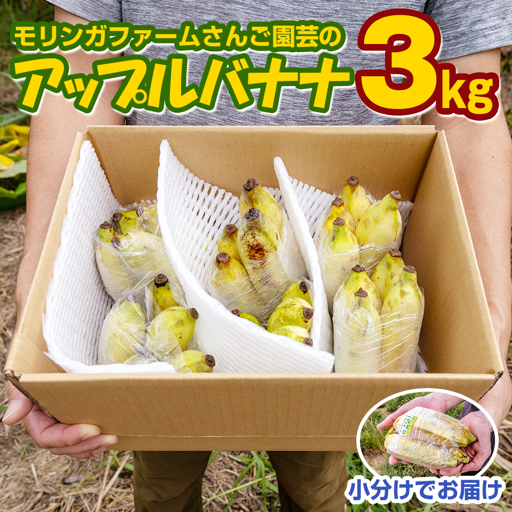 Amazon.co.jp: 沖縄県産アップルバナナ (4kg) : 食品・飲料・お酒