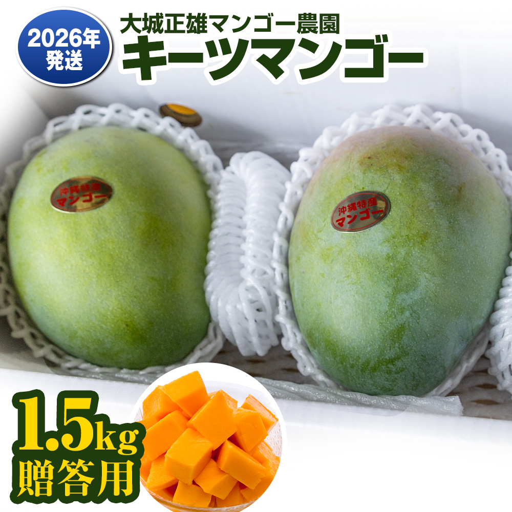 【2026年発送】大城正雄マンゴー農園 キーツマンゴー 贈答用1.5kg沖縄県南風原町22800果物・フルーツマンゴー・パイナップル