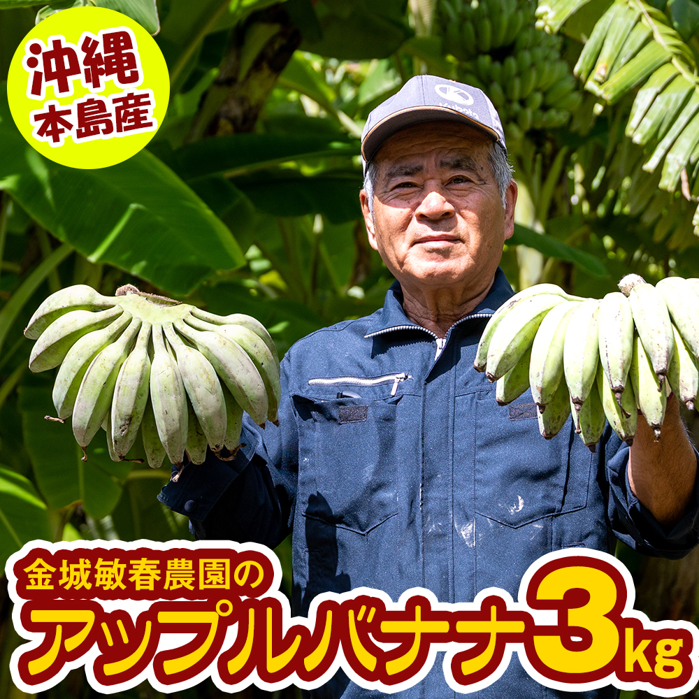 【沖縄本島産】金城敏春農園の「アップルバナナ」 3kg沖縄県南風原町12900果物・フルーツ