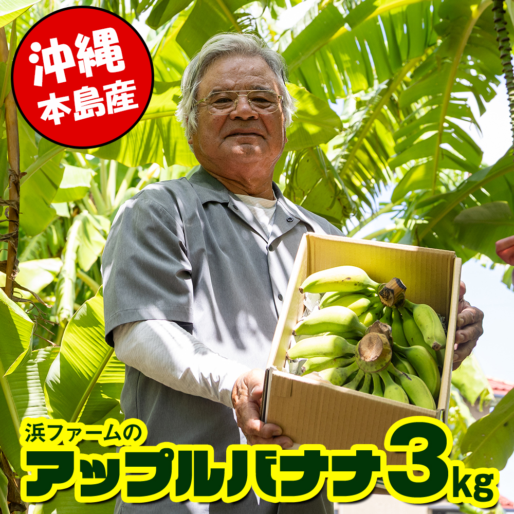 【沖縄本島産】浜ファームの「アップルバナナ」 3kg沖縄県南風原町12900果物・フルーツ