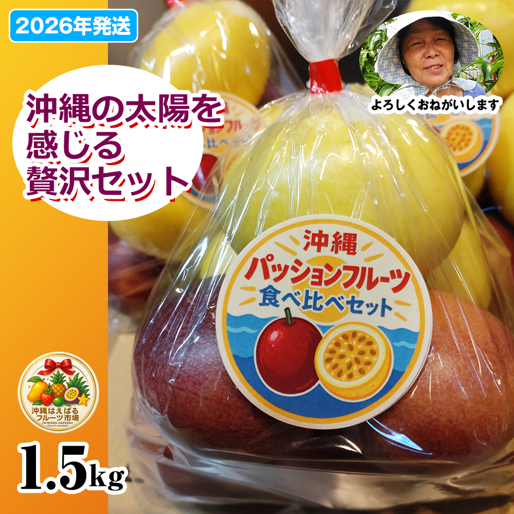 【2026年発送】沖縄からの贈り物 トロピカルジュエリーパッション1.5kg沖縄県南風原町26500果物・フルーツ