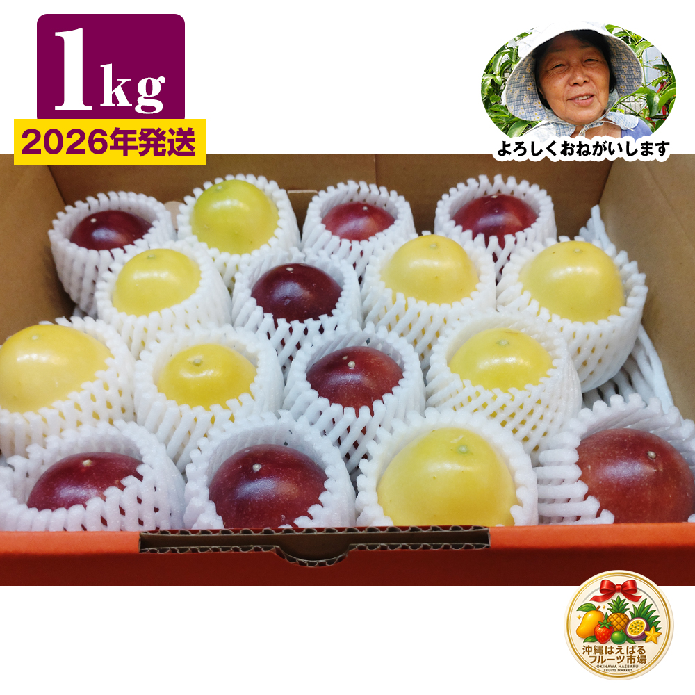 y2026Nzꂩ̑蕨@pbV̕Δ1kgꌧ앗23400ʕEt[c