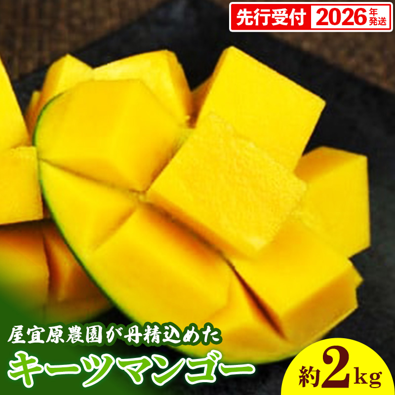【先行受付】【2026年発送】屋宜原農園が丹精込めた「キーツマンゴー」約2kg - 先行予約 沖縄 産地直送 南国フルーツ 旬の味覚 沖縄県産 国産マンゴー 希少種 オススメ 沖縄県 八重瀬町沖縄