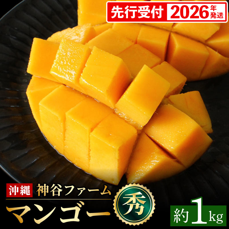 【化粧箱入】【先行受付・2026年発送】神谷ファームのマンゴー(秀)約1Kg - 先行予約 沖縄県産 産地直送 南国フルーツ 旬の味覚 季節の果物 贈り物 ギフト 沖縄県 八重瀬町沖縄県八重瀬町18