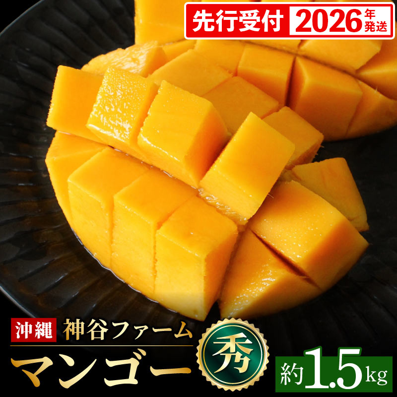 【化粧箱入】【先行受付・2026年発送】神谷ファームのマンゴー(秀)約1.5Kg - 先行予約 沖縄県産 産地直送 南国フルーツ 旬の味覚 季節の果物 贈り物 ギフト 沖縄県 八重瀬町沖縄県八重瀬町