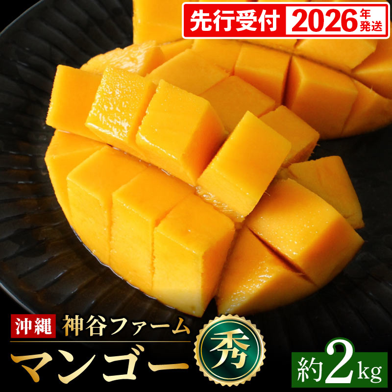 yϔzystE2026Nz_Jt@[̃}S[iGj2kg - s\ ꌧY Yn 썑t[c {̖o G߂̉ʕ 蕨 Mtg ꌧ dꌧd28