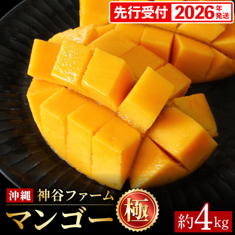 【化粧箱入】【先行受付・2026年発送】神谷ファームのマンゴー(極)約4Kg - 先行予約 沖縄県産 産地直送 南国フルーツ 旬の味覚 季節の果物 贈り物 ギフト 沖縄県 八重瀬町沖縄県八重瀬町77