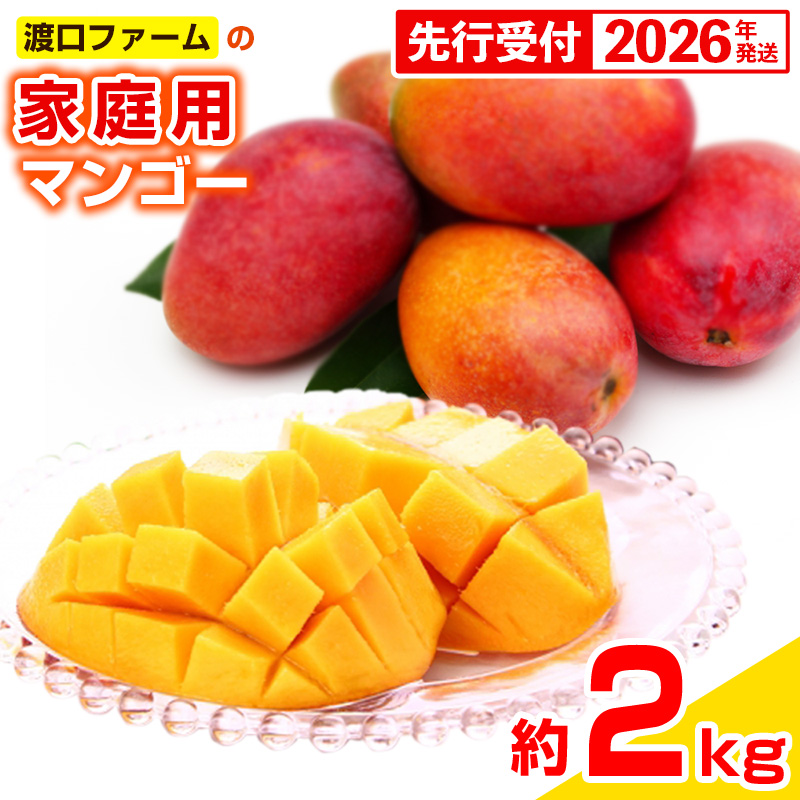 【先行受付】【2026年発送】渡口ファームの家庭用マンゴー約2kg - 先行予約 沖縄県産 産地直送 南国フルーツ 旬の味覚 季節の果物 ご自宅用 沖縄マンゴー 沖縄県 八重瀬町沖縄県八重瀬町20000