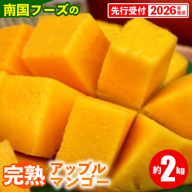 【先行受付】【2026年発送】南国フーズの完熟アップルマンゴー 約2kg - 先行予約 沖縄県産 産地直送 南国フルーツ 旬の味覚 旬のフルーツ 贈り物 ギフト 沖縄県 八重瀬町沖縄県八重瀬町20000