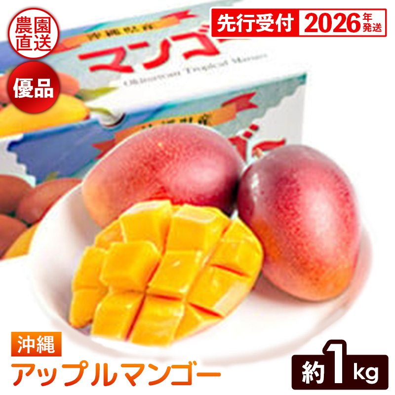 【化粧箱入】【先行受付・2026年発送】ヤマト農園 アップルマンゴー約1kg(優品)- 先行予約 沖縄県産 産地直送 南国フルーツ 旬の味覚 季節の果物 贈り物 ギフト 沖縄県 八重瀬町沖縄県八