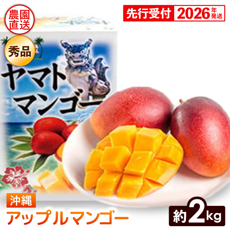 【化粧箱入】【先行受付・2026年発送】ヤマト農園 アップルマンゴー約2kg(秀品)- 先行予約 沖縄県産 産地直送 南国フルーツ 旬の味覚 季節の果物 贈り物 ギフト 沖縄県 八重瀬町沖縄県八