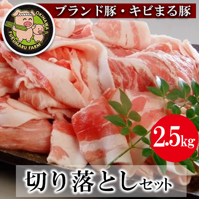 【ブランド豚・キビまる豚】切り落とし 約2.5kg - 豚肉 小分け 500gずつ 部位混合 色々楽しめる 人気 しょうが焼き 肉じゃが 豚丼 豚キムチ 肉巻き アレンジ 色々 人気 ブランド豚 おすすめ