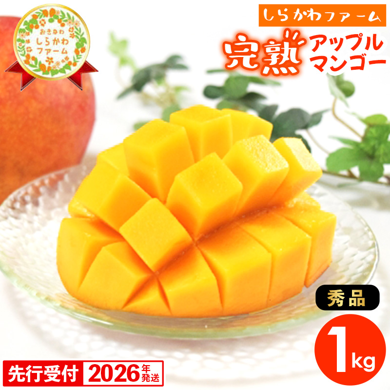 【先行受付】【2026年発送】しらかわファームのアップルマンゴー 秀 約1kg - 先行予約 沖縄 産地直送 南国フルーツ 旬の味覚 旬のフルーツ 贈り物 ギフト 沖縄県 八重瀬町沖縄県八重瀬町19000