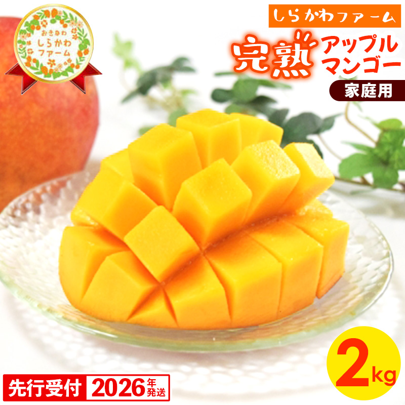 【先行受付】【2026年発送】しらかわファームの家庭用アップルマンゴー約2kg - 先行予約 沖縄県産 産地直送 南国フルーツ 旬の味覚 季節の果物 ご自宅用 家庭用 沖縄県 八重瀬町沖縄県八重