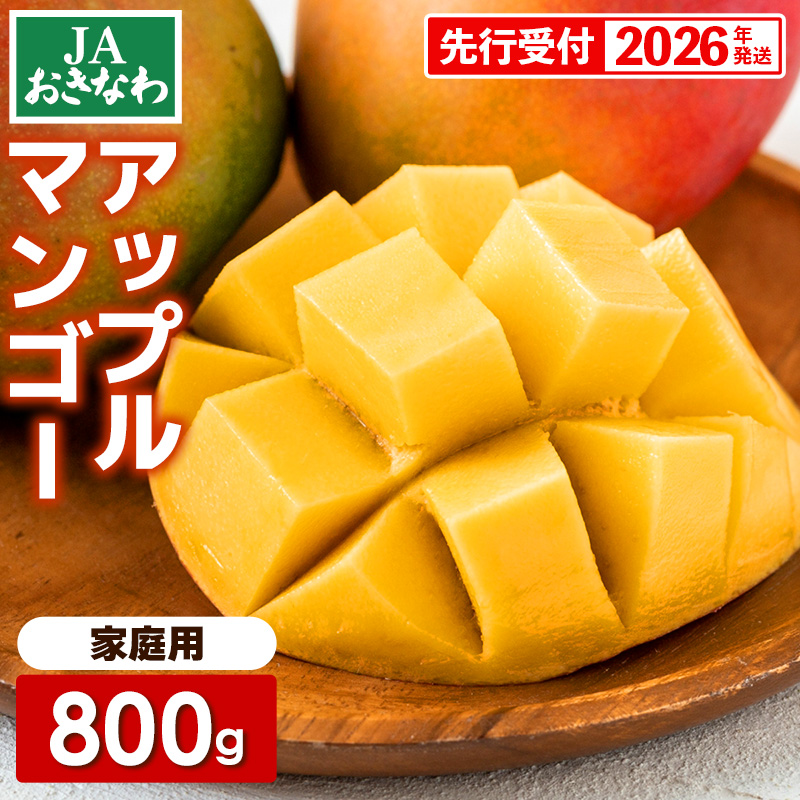 ystzy2026NzJAȂ̎YAbv}S[ 800g@2~4ʓyƒpEz- s\  Yn 썑t[c {̖o ƒp IXX ꌧ dꌧ