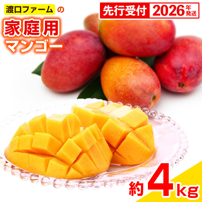 【先行受付】【2026年発送】渡口ファームの家庭用マンゴー約4kg - 先行予約 沖縄 産地直送 南国フルーツ 旬の味覚 家庭用 ご自宅用 大容量 4キロ オススメ 沖縄県 八重瀬町沖縄県八重瀬町36000