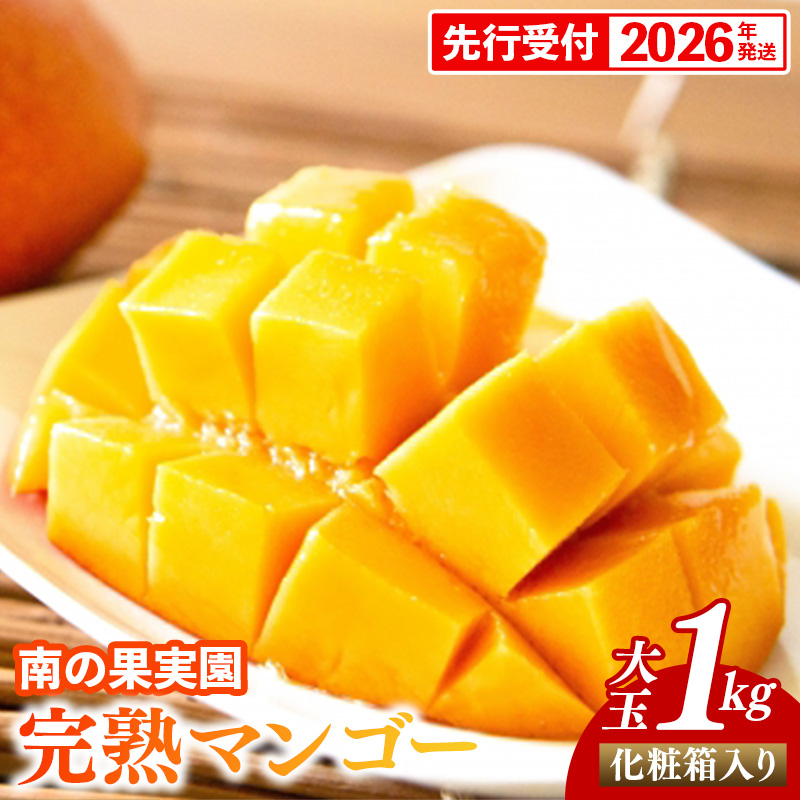 【化粧箱入】【先行受付・2026年発送】南の果実園 完熟マンゴー 大玉 1kg(2玉)〈贈答用化粧箱入り〉- 先行予約 沖縄県産 産地直送 アップルマンゴー 旬の味覚 季節の果物 贈り物 ギフト 沖