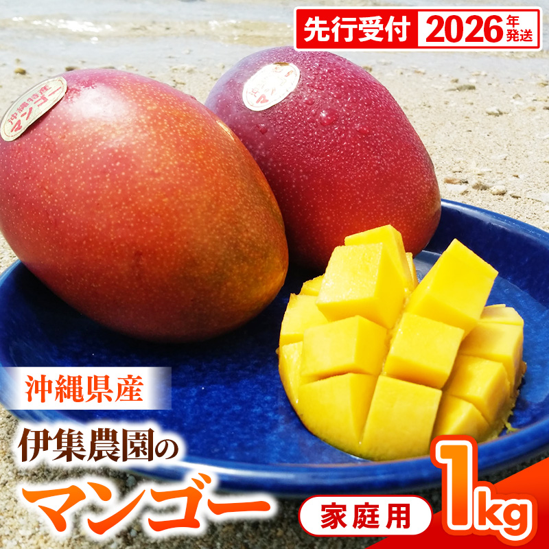 ystzy2026NzɏW_ ꌧY}S[ ƒp 1kg - s\  Yn 썑t[c {̖o ƒp 1L IXX ꌧ dꌧd13000ʕEt