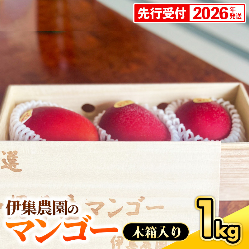 【木箱入】【先行受付・2026年発送】伊集農園 沖縄県産マンゴー(贈答用木箱)約1kg - 先行予約 沖縄 産地直送 南国フルーツ 旬の味覚 旬のフルーツ 贈り物 ギフト 沖縄県 八重瀬町沖縄県八