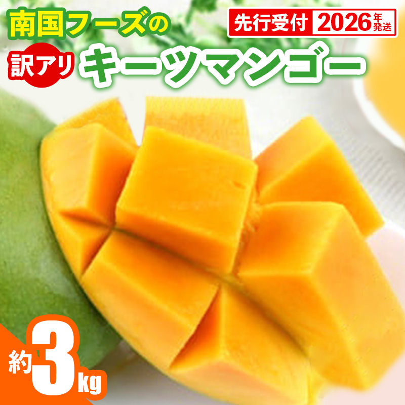 【先行受付】【2026年発送】南国フーズのキーツマンゴー 訳あり 約3kg - 先行予約 沖縄 産地直送 南国フルーツ ご家庭用 ご自宅用 国産マンゴー 希少種 オススメ 沖縄県 八重瀬町沖縄県八重