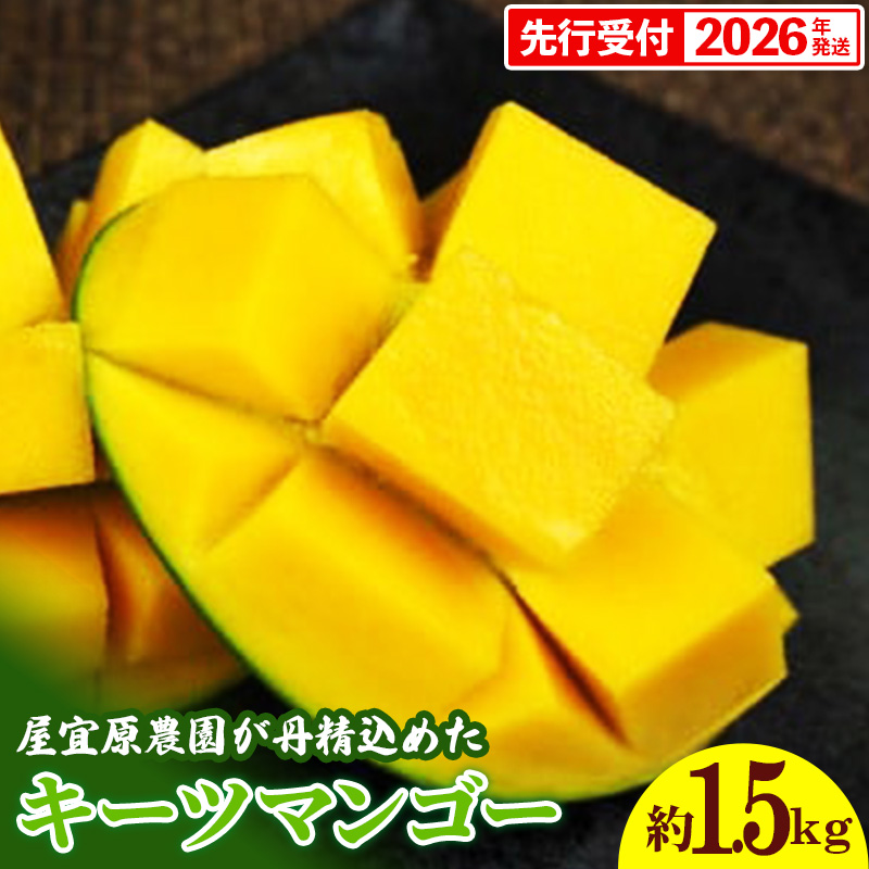 ystzy2026NzX_O߂uL[c}S[v1.5kg - s\  Yn 썑t[c {̖o ꌧY Y}S[ 󏭎 G߂̉ʕ ꌧ d