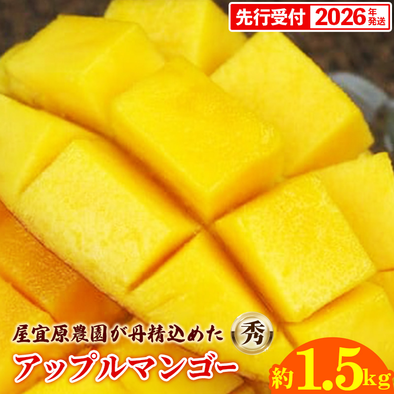 【先行受付】【2026年発送】屋宜原農園が丹精込めた「アップルマンゴー」秀約1.5kg - 先行予約 沖縄県産 産地直送 南国フルーツ 旬の味覚 季節の果物 贈り物 ギフト 沖縄県 八重瀬町沖縄県八