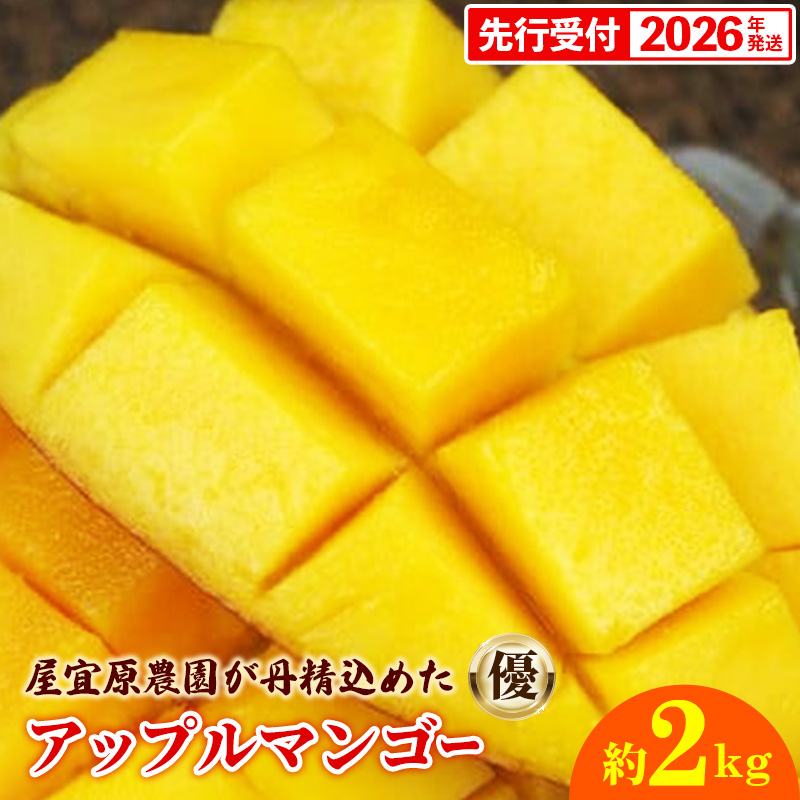 【先行受付】【2026年発送】屋宜原農園が丹精込めた「アップルマンゴー」優約2kg - 先行予約 沖縄県産 産地直送 南国フルーツ 旬の味覚 季節の果物 贈り物 ギフト 沖縄県 八重瀬町沖縄県八