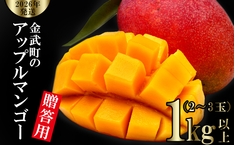y2026Nz̃Abv}S[p1kgȏi2`3ʁj A[EB ʕ Â  Z Mtg Mango LO n Cɓ n lC Ö t[c ꌧ s\ Hi