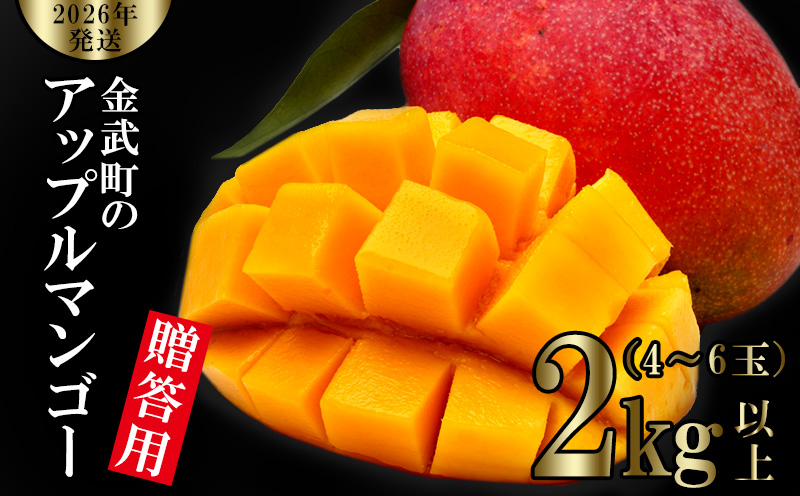 y2026Nz̃Abv}S[p2kgȏi4`6ʁj A[EB ʕ Â  Z Mtg Mango LO n Cɓ n lC Ö t[c ꌧ s\ Hi