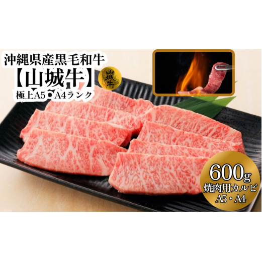 A5EA4N@ꌧYјasR鋍tēpJr600gꌧ܎s31000