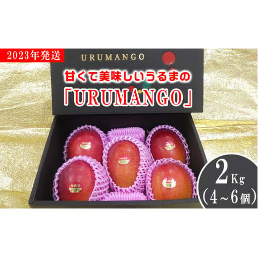 ÂĔuURUMANGOv2Kgi4`6j2023Nꌧ܎s34000ʕEt[c}S[EpCibv