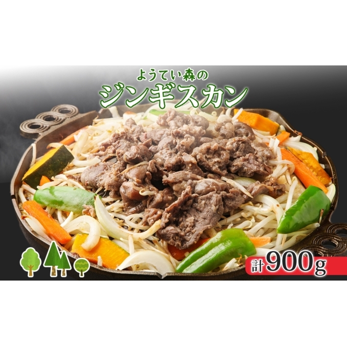 悤ĂX̃WMXJ 300g×3pbN WMXJ O WrG  r gv BBQ p[eB[ r ē   [H H yY GAhGtT[rX  kC m