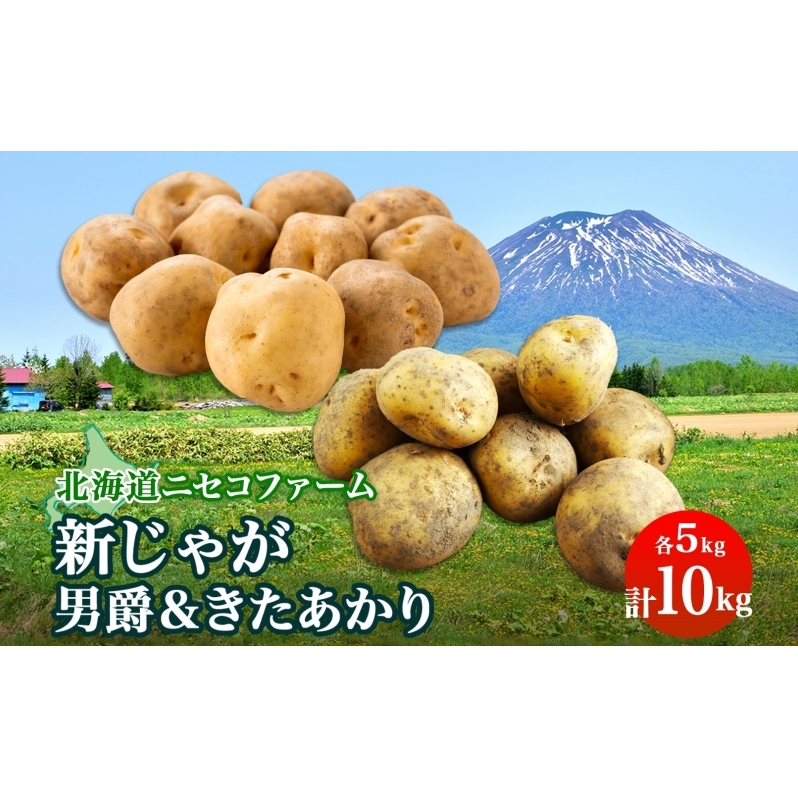 kCY z~ Ⴊ 2 lߍ킹 j  e5kg v10kg M-L TCY  WKC    L^AJ jZRt@[  kC m kC̃WKC