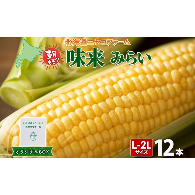 【 2026年 発送 】 北海道産 とうもろこし 味来 計12本 L-2L サイズ混合 大きめ みらい 旬 朝採り 新鮮 トウモロコシ 甘い 夏野菜 とうきび お取り寄せ 産地直送 野菜 しりべしや  北海道倶知安