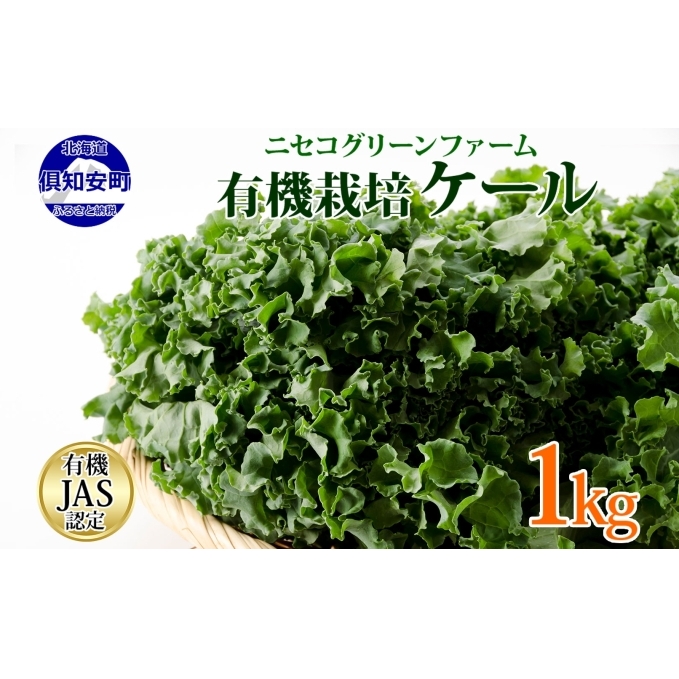 北海道産 旬の有機栽培野菜 ケール 1kg 有機栽培 オーガニック オーガニック野菜 有機野菜 有機jas認証 西洋野菜 ケール 生葉 青汁 スムージー 緑黄色野菜 新鮮 お取り寄せ ハーブ 野菜セット