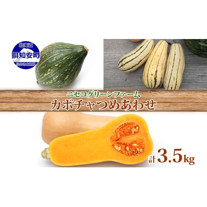 kCY {̗L@͔| ڂ 3.5kg ~jo^[ibc fJ^  L@͔| I[KjbN L@ L@jasF m VN   jZRO[t@[ kC m