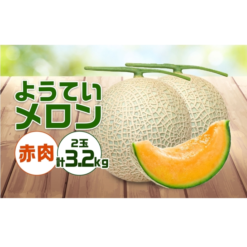 y 2025N zs\ kC ԓ 1.6kg 2  ԓ ʕ t[c Â n XC[c fU[g Y Y i j MtgrR JA悤ĂkCm18000ʕE